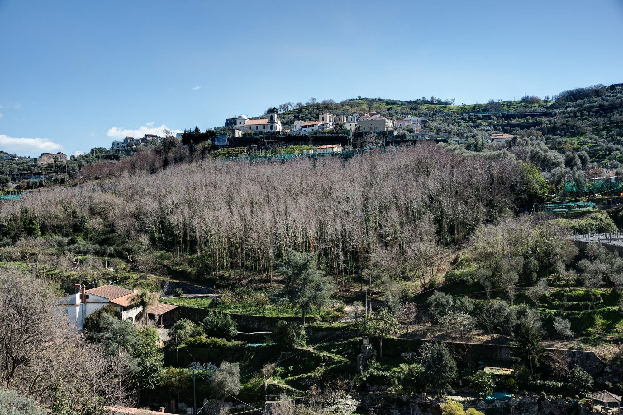 Séjour à la campagne Oleum Massa Lubrense